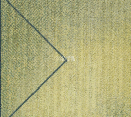 Milliken Clerkenwell tgp 118-166-103 Full Bloom фото 1 | FLOORDEALER